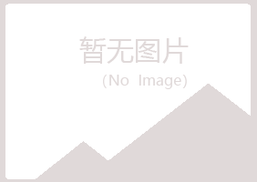 南川字迹音乐有限公司